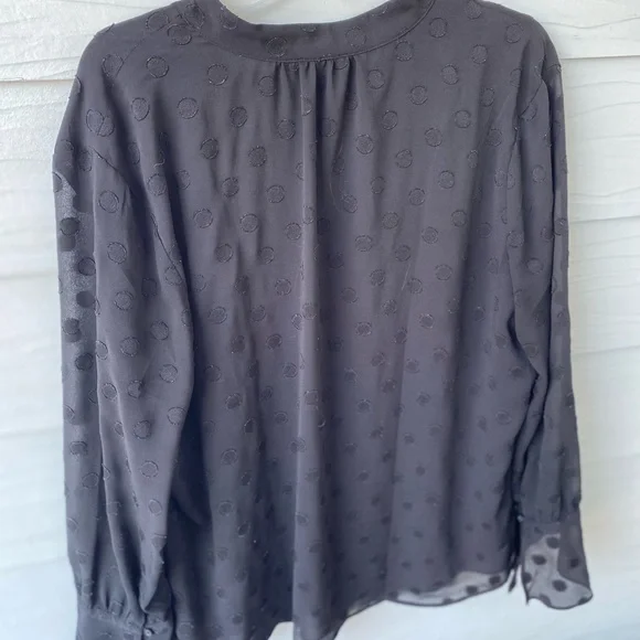 Elegant Black Chiffon Blouse - Picture 4 of 5